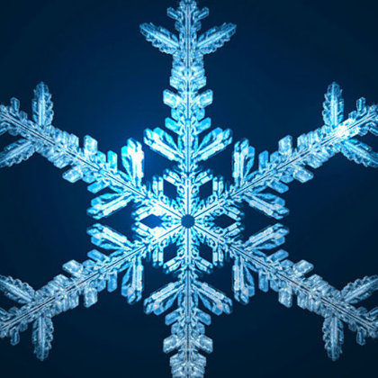 Snowflakex