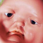 Fuck Face