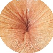 DeepDive into URANUS
