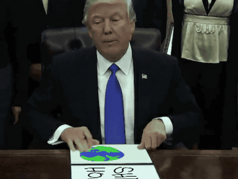 Weegs Surrogate Mother