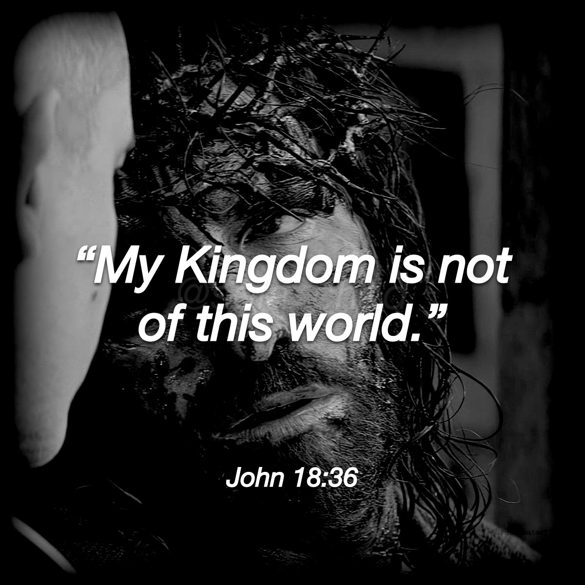 The way the truth and the life!