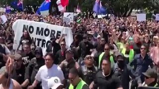 BADASS!: No One Protests Like New Zealanders Protest!