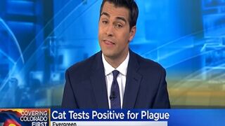 Colorado House Cat Tests Positive For The Black Death Plague!