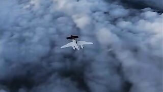 Plane Stalls and Nearly Kills the People Skydiving