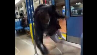 Racist Train Attacks Innocent Black Man