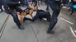  Police Go Off The Rails During Anti-Lockdown Protest, Sick Dogs On Protesters