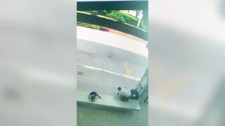 Florida Man Strangles and Strikes a Woman He Did Not Know with SHOELACE at the Miami Bus Stop.
