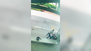 Florida Man Strangles and Strikes a Woman He Did Not Know with SHOELACE at the Miami Bus Stop.
