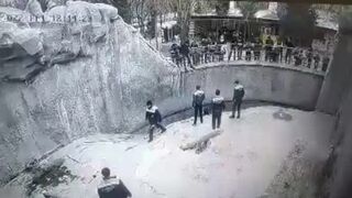 Horrifying Moment a Mother Drops Her Three-Year-Old Daughter Into a Bear Enclosure In Front of Horrified Visitors at a Zoo In Uzbekistan