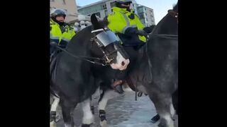 Canadian Cops Trample Freedom Convoy Protesters With Their Horses