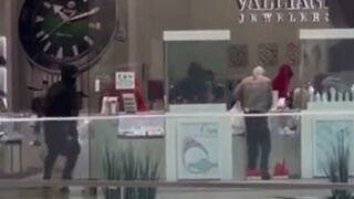 Thugs With Guns and Sledgehammers Clean Mall Jewelry Store in Broad Daylight