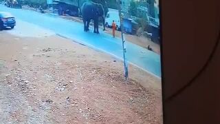 Elephant Stomps Mahout after Getting Provoked In India