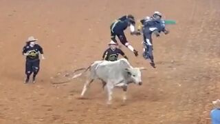 Bull Gets a Two-for-one Special... Right where the Sun Don't Shine.