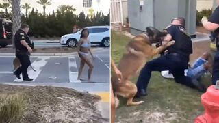 Police Dog Turns On Cop After He Took Down A Suspect!