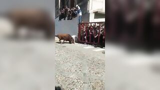 Man Gored by a Charging Beast at Bull-Running Festival In Cadiz