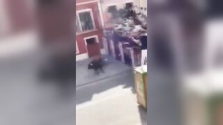 Man Killed by 84-stone Bull at Spanish Festival