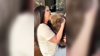 Bear Cub Sinks its Teeth Into Womanâ€™s Face In Russian Park Because She Smelled Like Fish