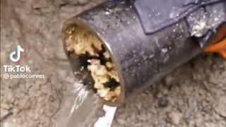 Construction Worker Shows What's Inside Pipes Tap Water Comes From!