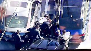 Carjacker Tased By Cops After The Chase In California