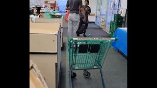 Fearless Tiny Female Dollar Tree Employee Takes on Giant Shoplifter