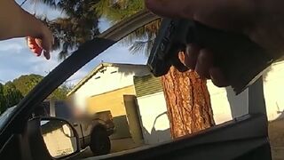 LAPD Shoot up a Truck Because Guy Had a Gun-Shaped Lighter.