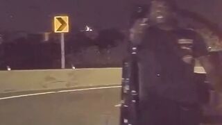 Houston Thug Shoots up a Tesla During Crazy Road Rage Incident.