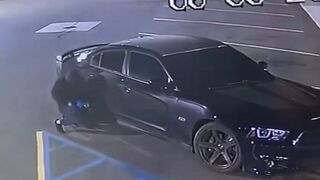 Car Thief Might be an Actual Ninja!
