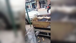 HOLY HELL: Asian Woman Filmed Cooking Rats on NYC Street