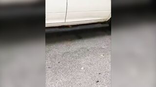 Guy Catches a Catalytic Convertor Thief in the Act... Regulates on Him