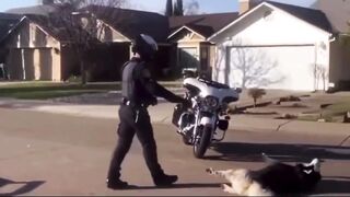 Terrible: Scumbag California Cop Tases Family Dog to Death!