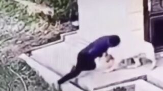 DAMN: MMA Fighter Subdues Attacking Dog with a Headlock.