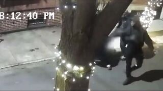 4 Teen Thugs Brutally Beat, Stomp And Rob A Woman In Philly