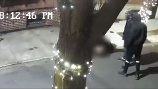 4 Teen Thugs Brutally Beat, Stomp And Rob A Woman In Philly