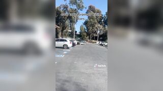 Woman Loses it and Hits Every Car in The Parking Lot!