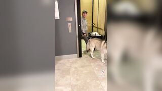 Karen with a Dog Won’t Let Woman Use Elevator to go Upstairs to Her Apartment!