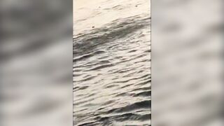 Moron Drowns While Making an Instagram Reel! Dumb Friends Just Watch.