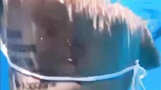 Hot Girl in Bikini Decides to Swim with Sharks.... Pays the Price
