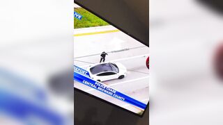 Real Life GTA Armed Car jacking in Florida