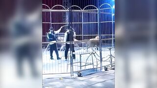 Crowd Makes a Run For It After 2 Lions Escape Cage at The Circus!