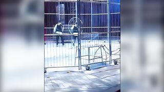 Crowd Makes a Run For It After 2 Lions Escape Cage at The Circus!