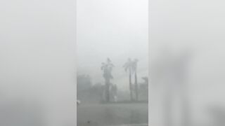 Tornado Flips A Car in Florida!