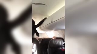 Woman Goes Batshit Crazy on Airplane Mid-flight