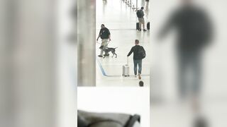 This TSA Agent Has No Business Having a K9 to Patrol With Him