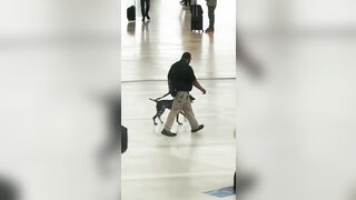 This TSA Agent Has No Business Having a K9 to Patrol With Him
