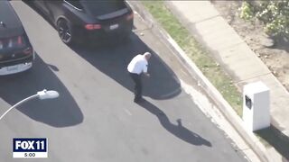 Horrifying Moment LAPD Volunteer Officer Attacked by Swarm of Killer Bee's