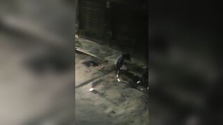 Two Thug Women Try to Rob A Man at Gun Point, Things Get Real Bloody