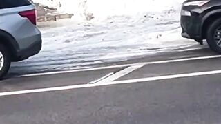 Video Showing Four Minutes Before The ICE Shooting