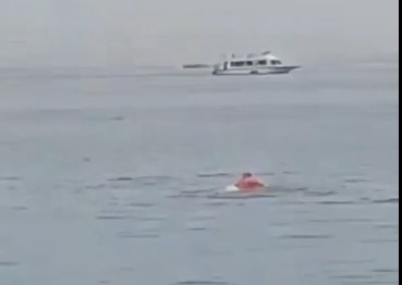 DAMN: Tourist Filmed Being Eaten By a Shark.