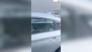 Impede patroller arrested in Minnesota for obstructing ICE