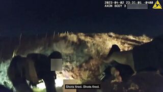 Border Patrol Agents Shoot Man Who Hit Another Agent With a Wooden Club
